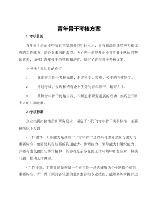 青年骨干考核方案