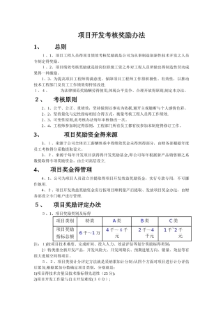 项目开发奖励办法