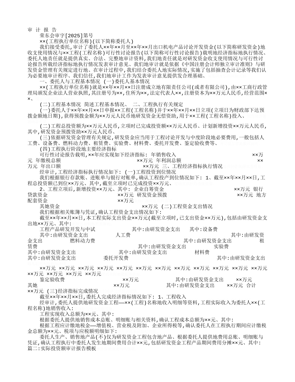 项目投资审计报告_第1页