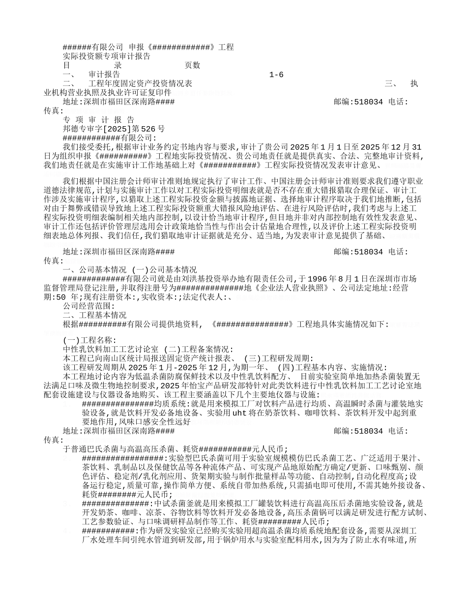 项目投资审计报告_第2页