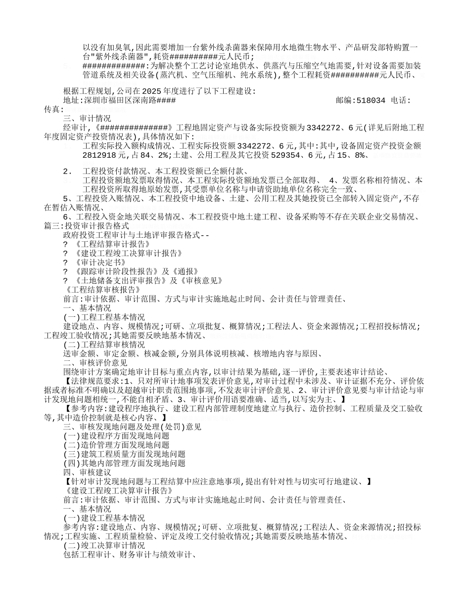 项目投资审计报告_第3页