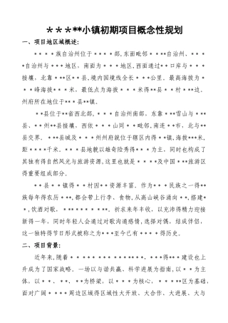项目概念性规划