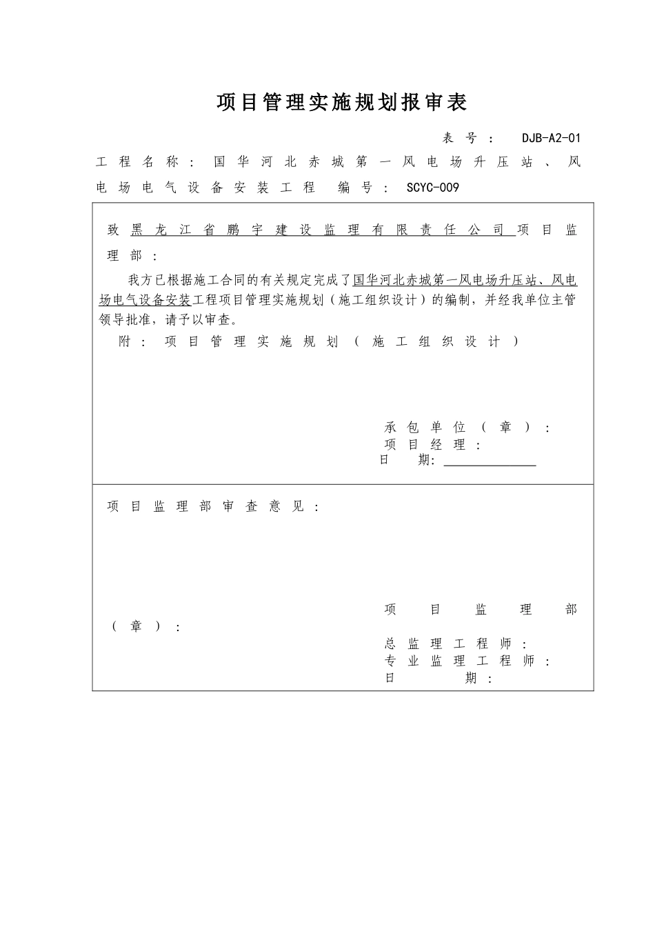 项目管理实施规划_第1页
