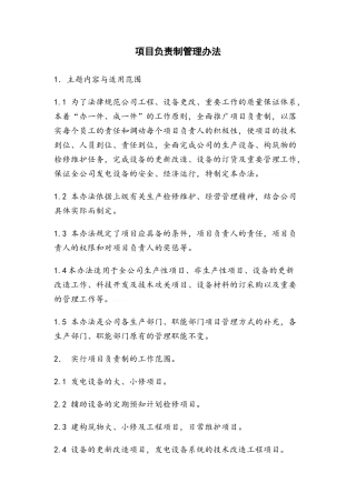 项目负责制管理办法