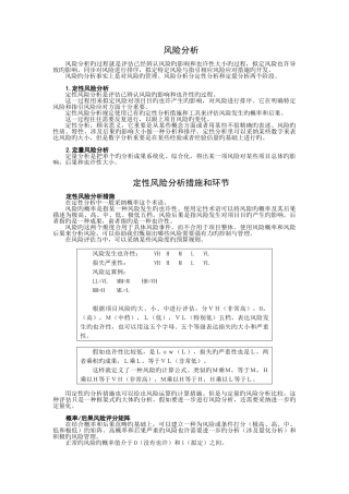 项目风险管理