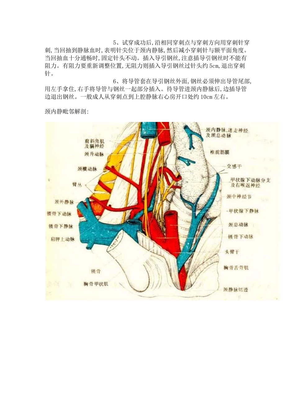颈内静脉穿刺术_第3页