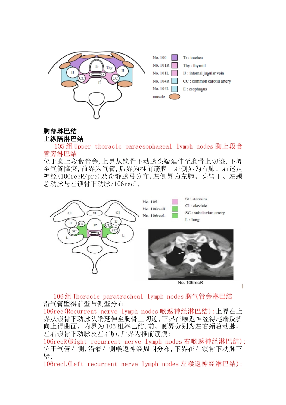 食管癌淋巴结解剖及CT定义-山东省肿瘤医院经验_第2页