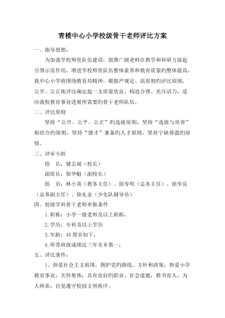 骨干教师评选方案