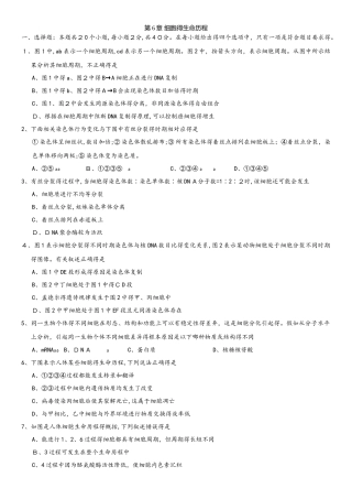 高一生物（人教版）必修一单元练习卷：第6章 细胞的生命历程