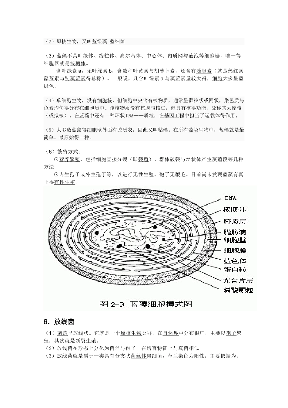 高中常见微生物_第2页