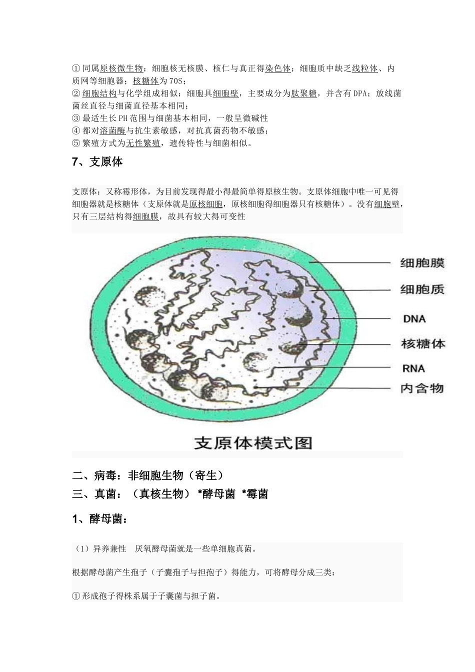 高中常见微生物_第3页