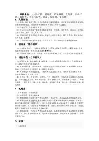 高中常见微生物