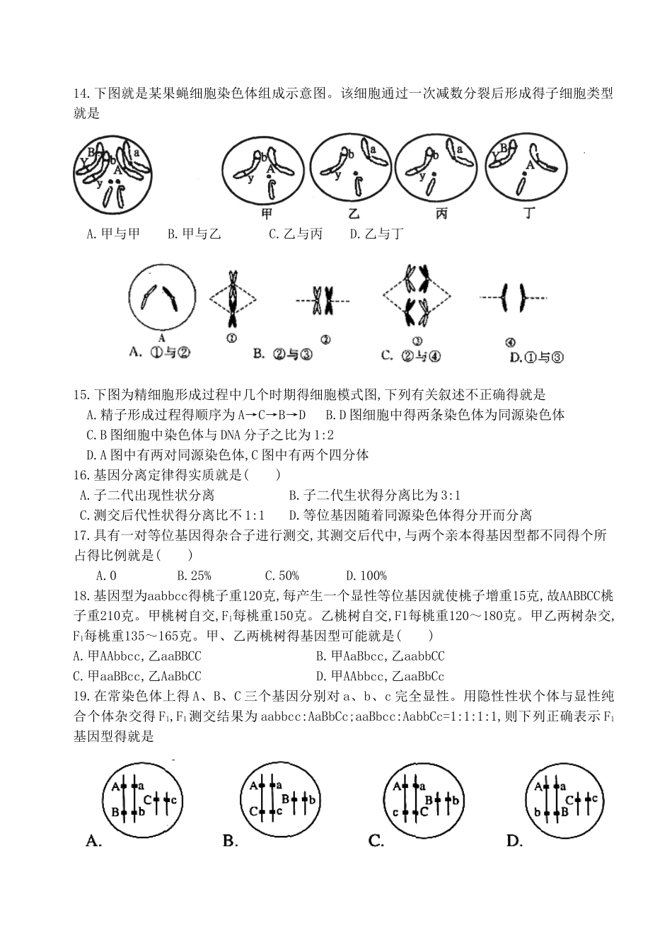 高中生物必修2第1、2章单元测试题_第2页