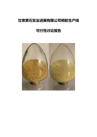 高档明胶生产线项目可研报告