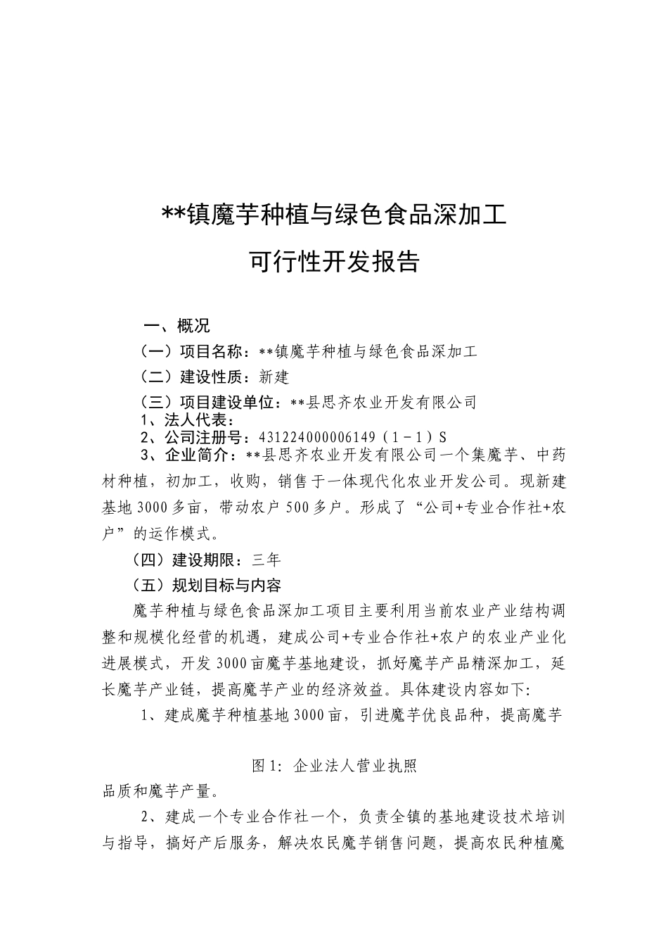 魔芋种植及产品加工项目可行性研究报告_第2页
