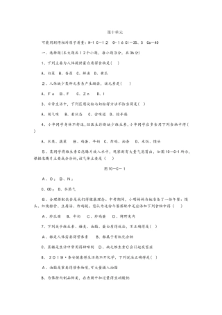 鲁教版九年级化学全册第十单元 化学与健康单元测试题