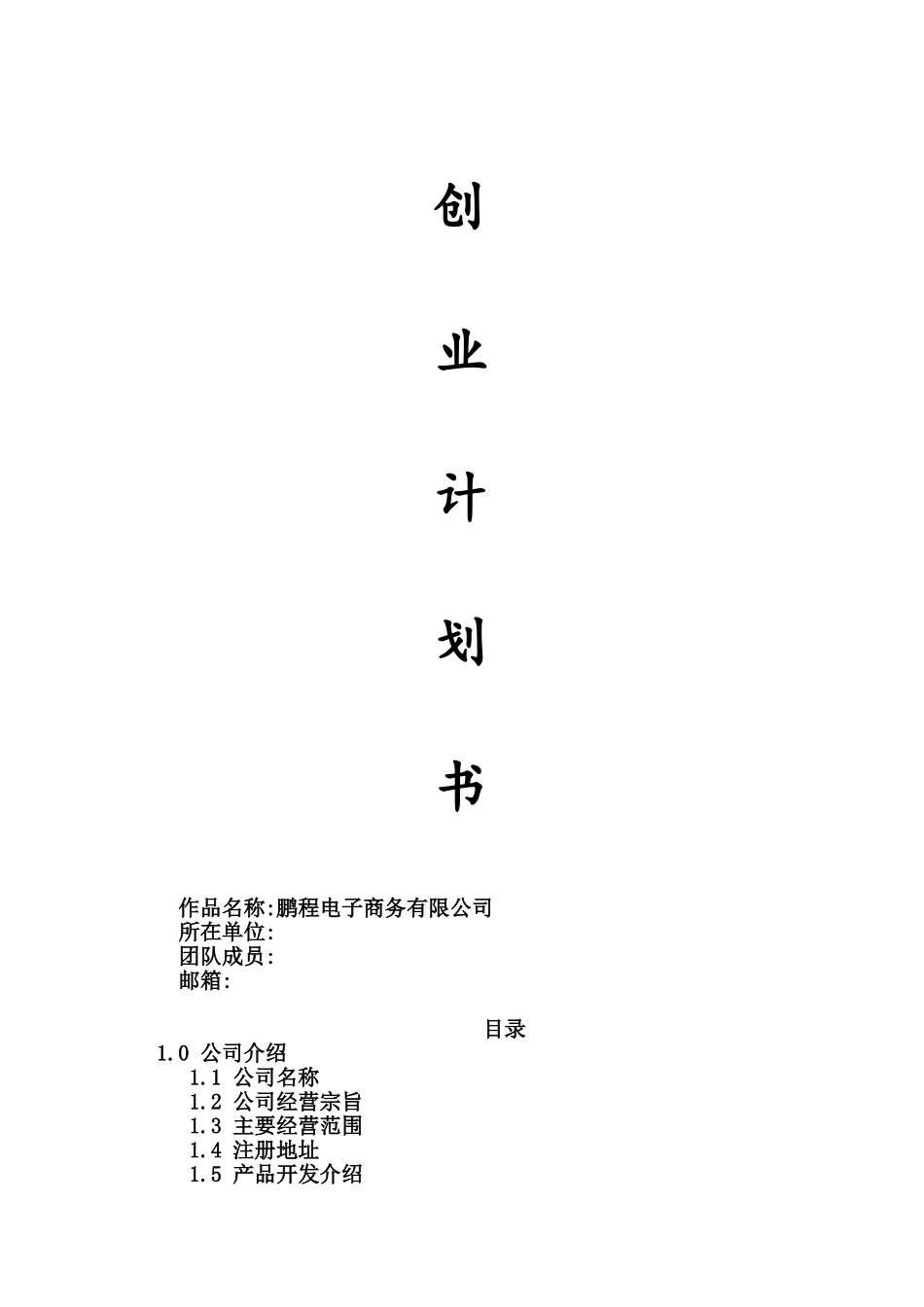 鹏程电子商务有限公司创业计划书_第1页