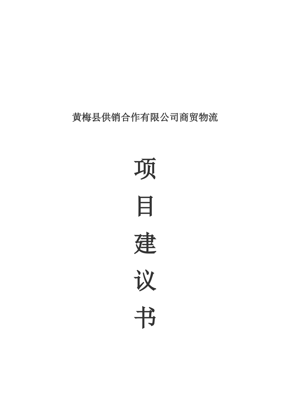 黄梅县供销合作有限公司商贸物流项目建议书_第2页