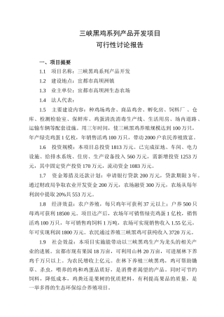 黑鸡系列产品开发项目可行性研究报告书