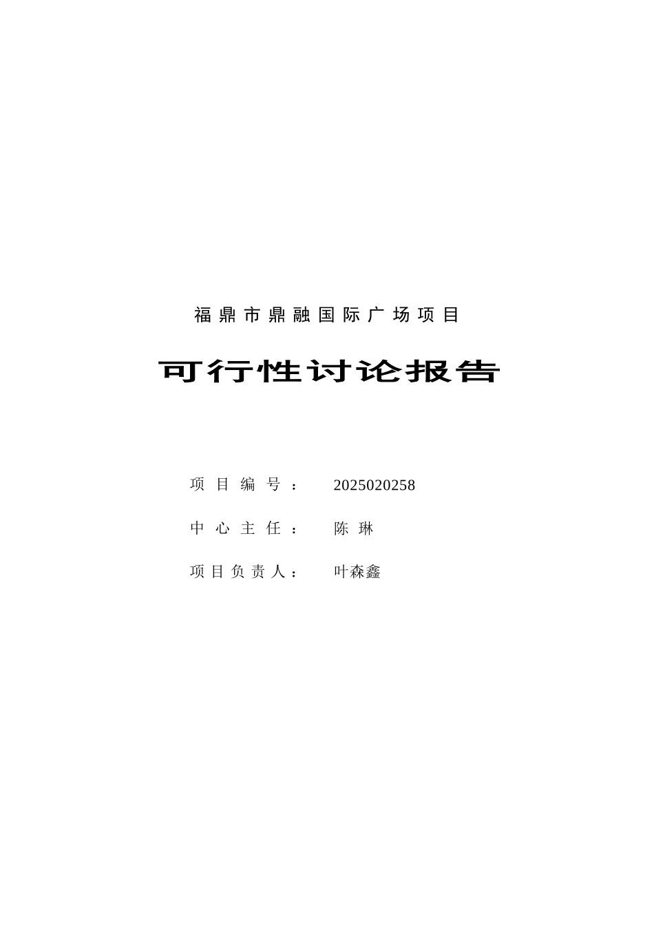 鼎融国际广场可行性研究报_第2页