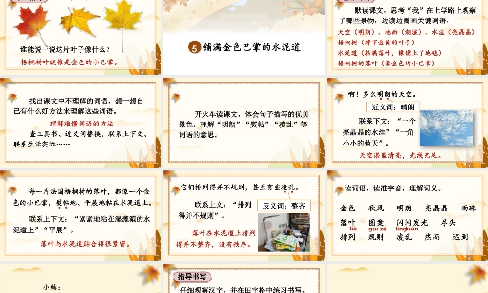 25秋统编版小学语文三年级上册第二单元5 铺满金色巴掌的水泥道 课件