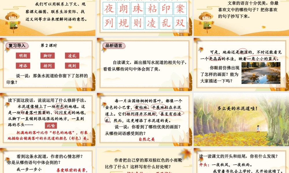 25秋统编版小学语文三年级上册第二单元5 铺满金色巴掌的水泥道 课件