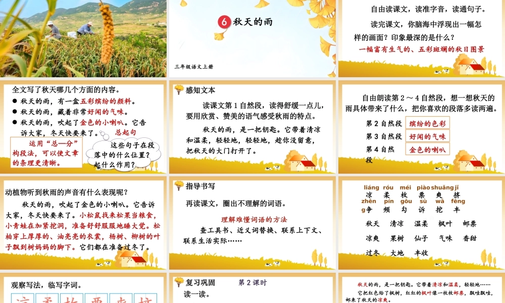 25秋统编版小学语文三年级上册第二单元6 秋天的雨 课件