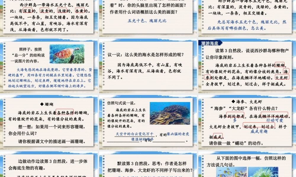 25秋统编版小学语文三年级上册第六单元16 富饶的西沙群岛 课件