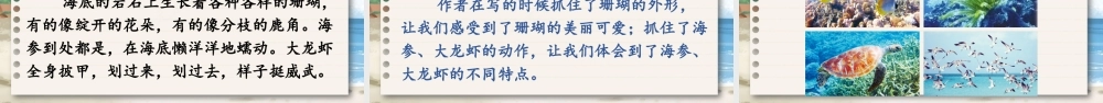 25秋统编版小学语文三年级上册第六单元16 富饶的西沙群岛 课件