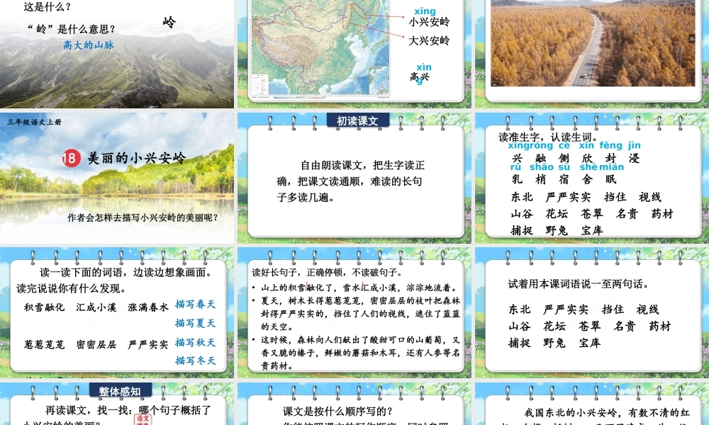 25秋统编版小学语文三年级上册第六单元18 美丽的小兴安岭 课件
