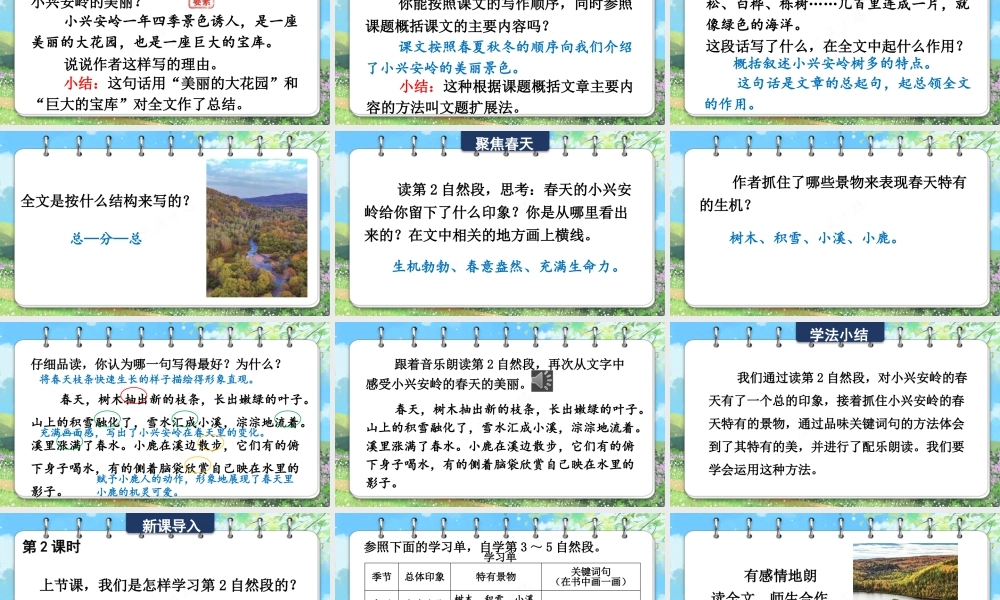 25秋统编版小学语文三年级上册第六单元18 美丽的小兴安岭 课件