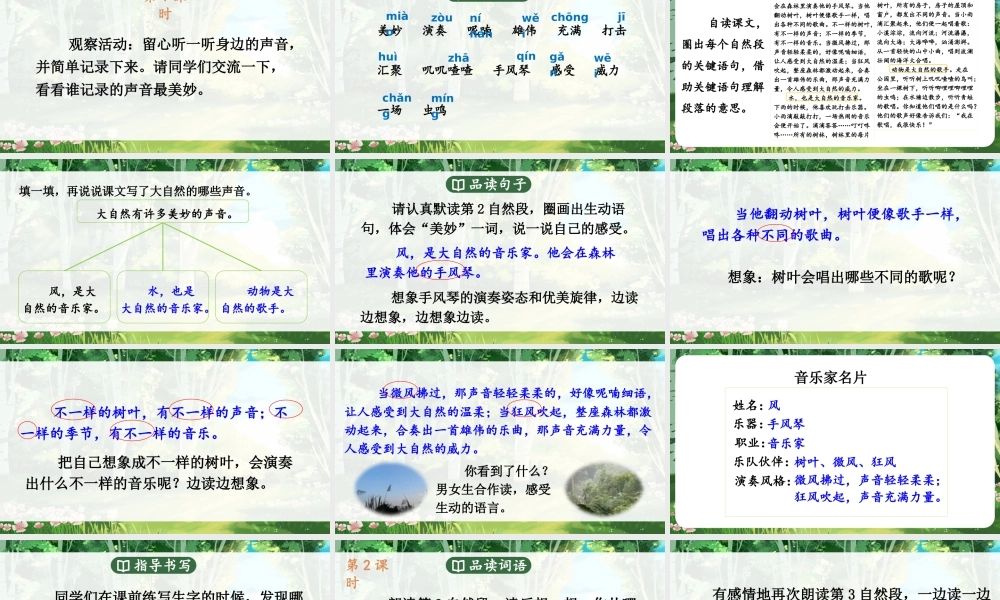 25秋统编版小学语文三年级上册第七单元21 大自然的声音 课件