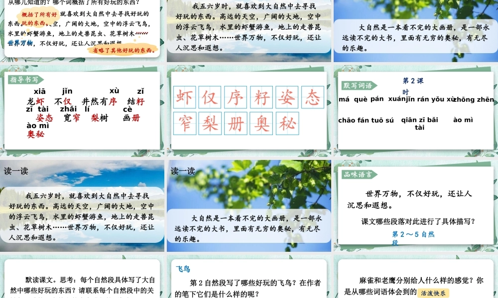 25秋统编版小学语文三年级上册第七单元22 读不完的大书 课件