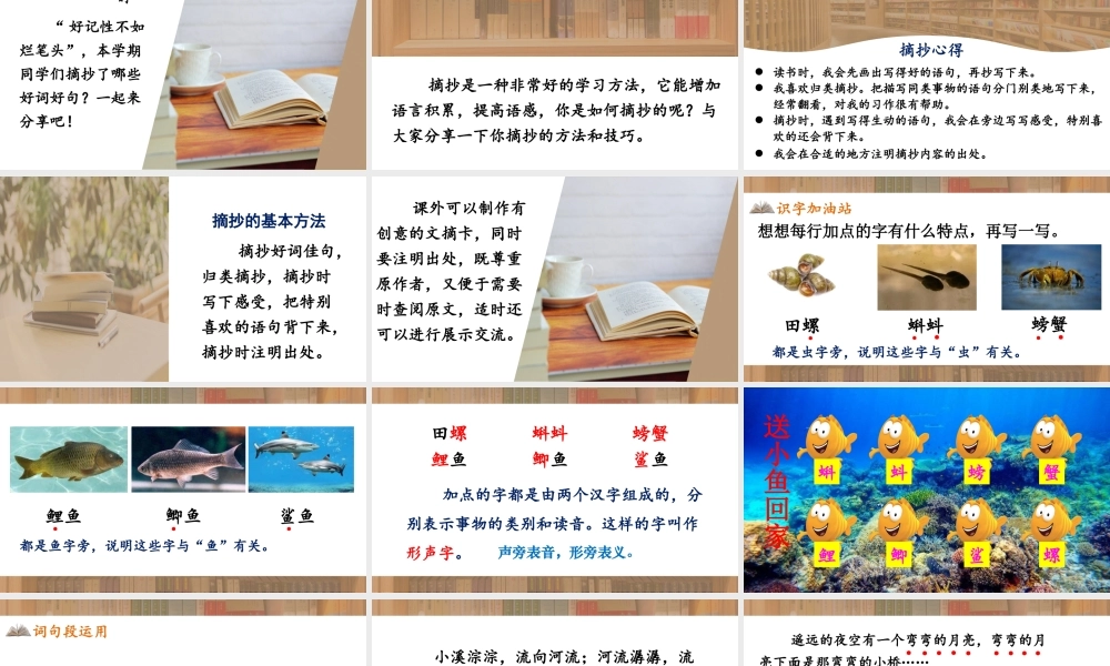 25秋统编版小学语文三年级上册第七单元语文园地七 课件