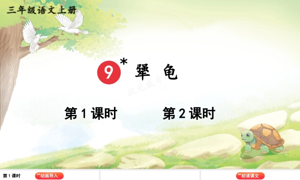25秋统编版小学语文三年级上册第三单元9 犟龟 课件