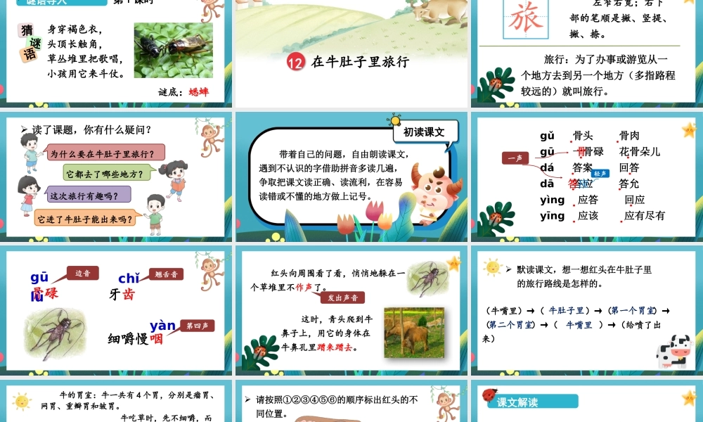 25秋统编版小学语文三年级上册第四单元12 在牛肚子里旅行 课件