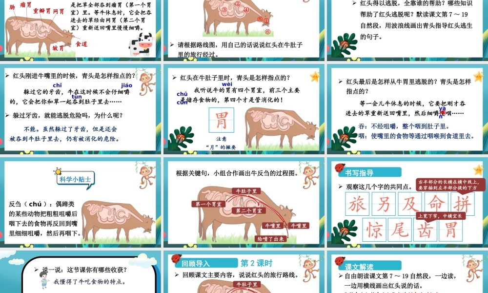 25秋统编版小学语文三年级上册第四单元12 在牛肚子里旅行 课件