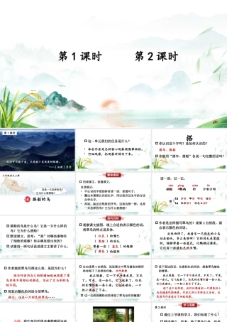 25秋统编版小学语文三年级上册第五单元14 搭船的鸟 课件