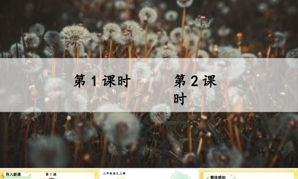 25秋统编版小学语文三年级上册第五单元15 金色的草地 课件