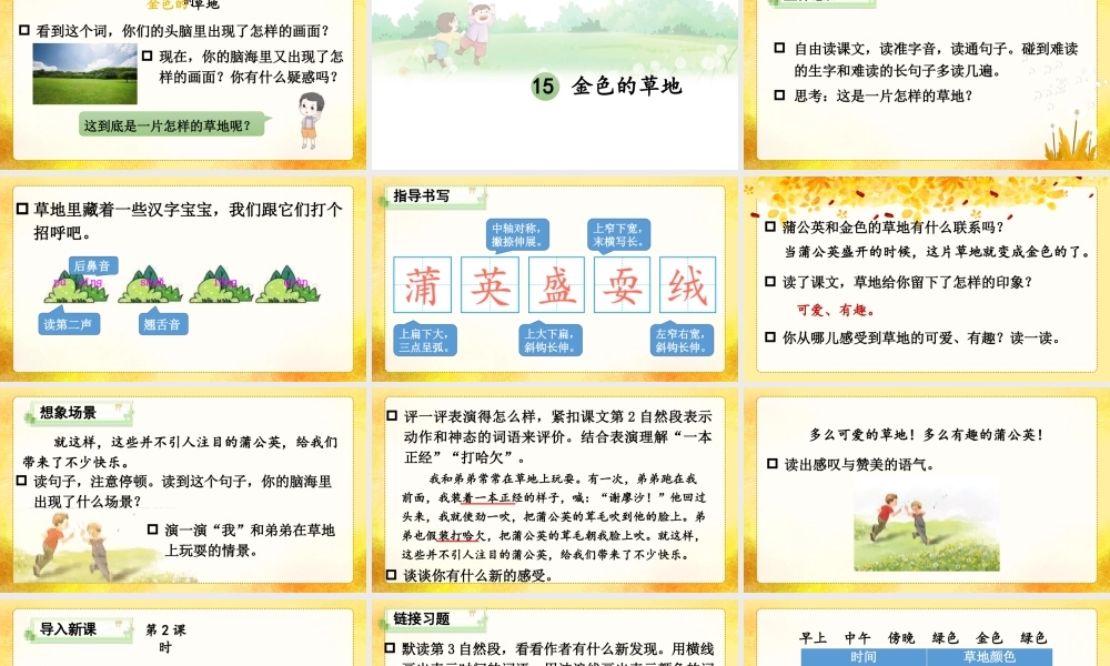 25秋统编版小学语文三年级上册第五单元15 金色的草地 课件