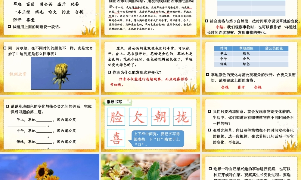 25秋统编版小学语文三年级上册第五单元15 金色的草地 课件