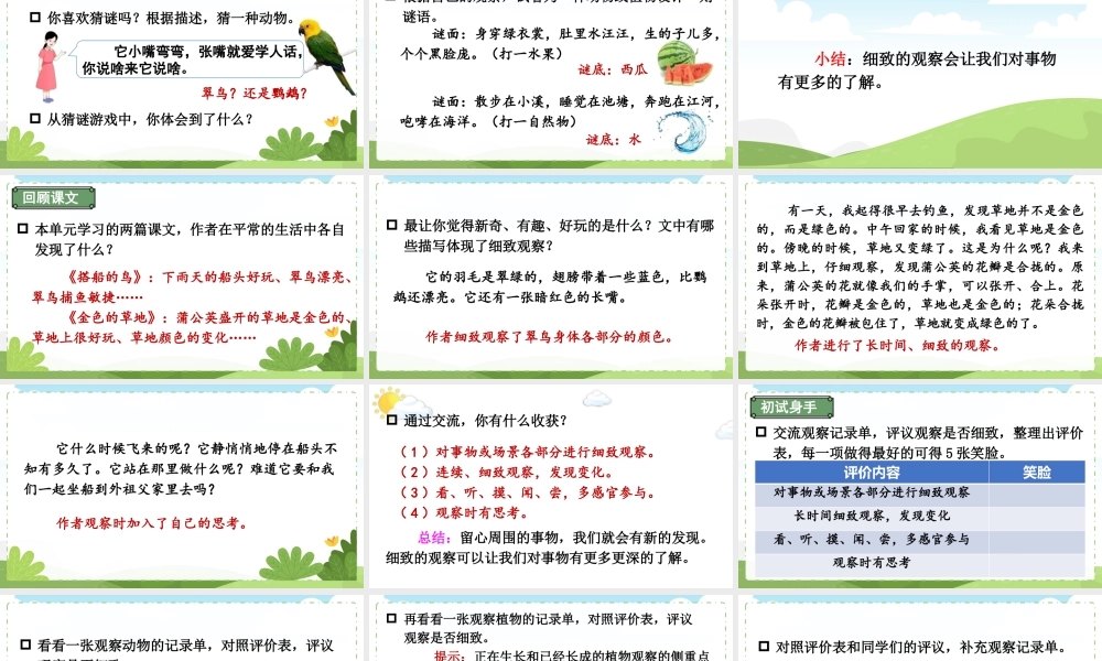 25秋统编版小学语文三年级上册第五单元梳理与交流、初试身手 课件