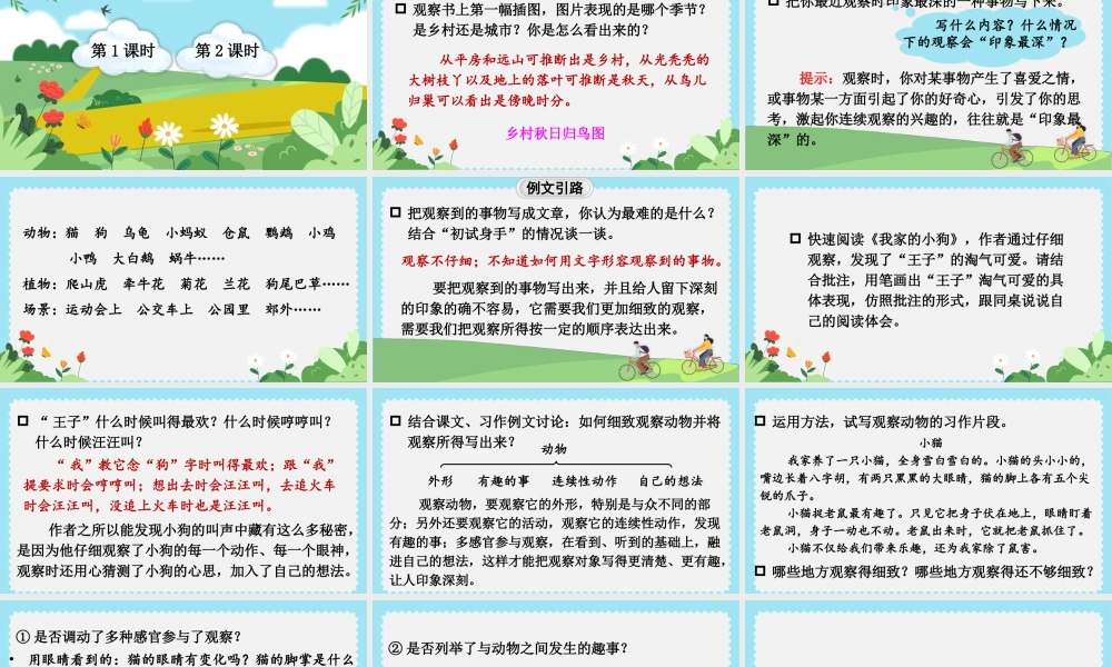 25秋统编版小学语文三年级上册第五单元习作与例文 课件