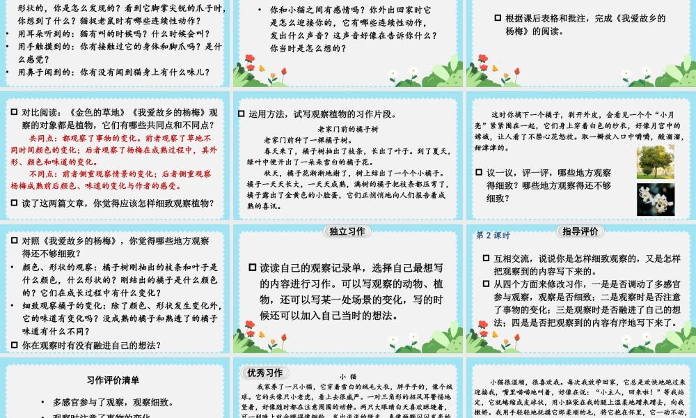 25秋统编版小学语文三年级上册第五单元习作与例文 课件