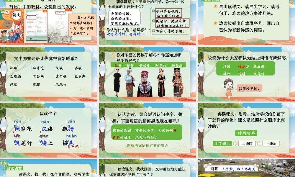 25秋统编版小学语文三年级上册第一单元1 大青树下的小学 课件