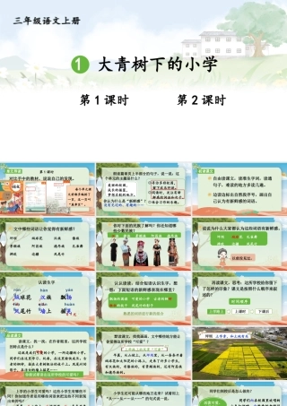25秋统编版小学语文三年级上册第一单元1 大青树下的小学 课件