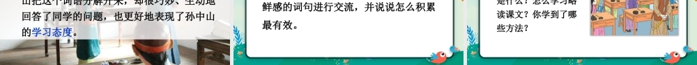 25秋统编版小学语文三年级上册第一单元3 不懂就要问 课件
