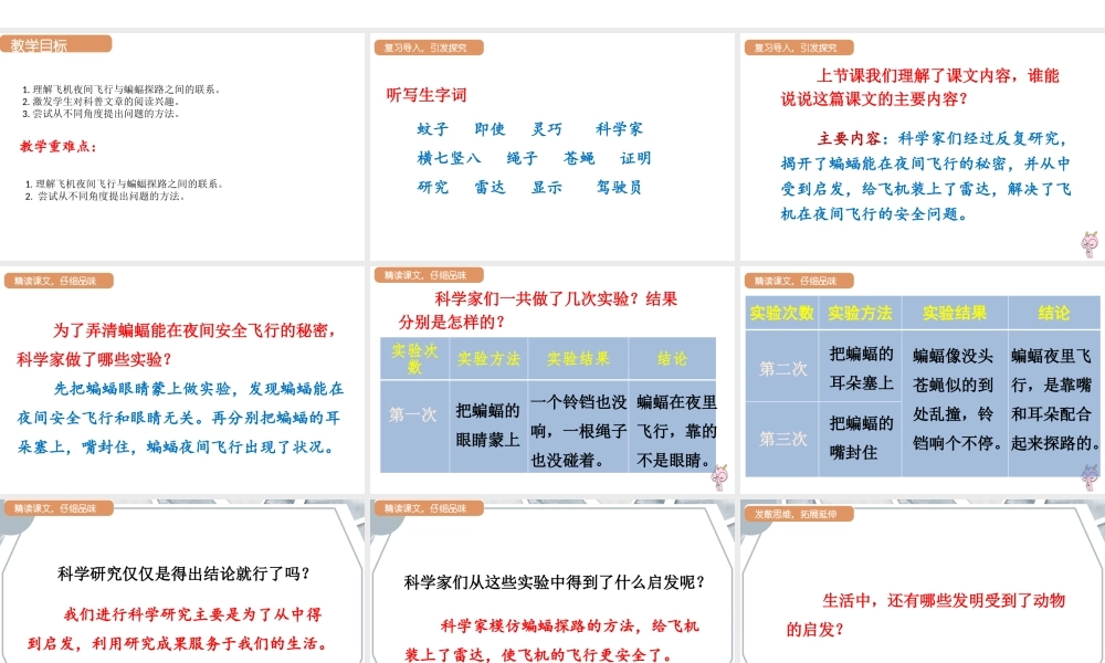 人教统编版25秋新教材小学四年级语文上册第二单元6.夜间飞行的秘密第二课时课件