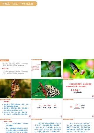 人教统编版25秋新教材小学四年级语文上册第二单元8.蝴蝶的家课件