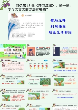 【统编版2025秋新教材】小学语文四年级上册第八单元-25 王戎不取道旁李【精 华版】 课件